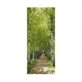 Fototapeta na dveře Birkenallee 92x220 cm