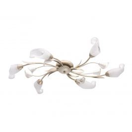 Lustr Calla